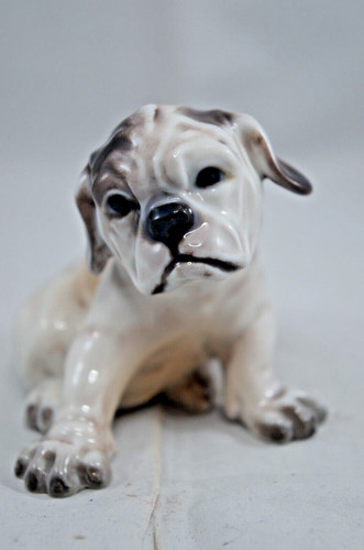 Cucciolo bulldog cane - bulldog, dahl