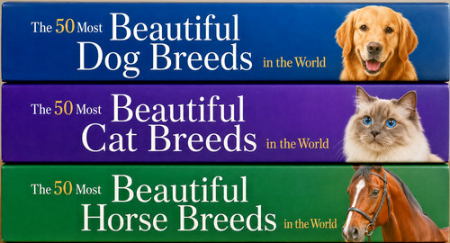 Beautiful breeds collection - beautiful,