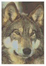 Schema Di Punto Croce Di Florashell - Faccia Di Lupo