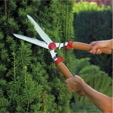 CESOIE per SIEPE FORBICI