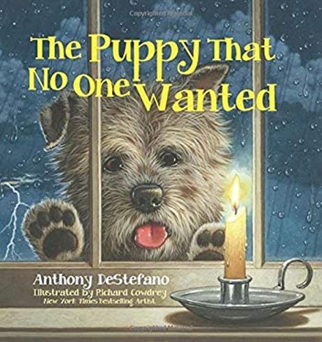 The puppy that one wanted - puppy,