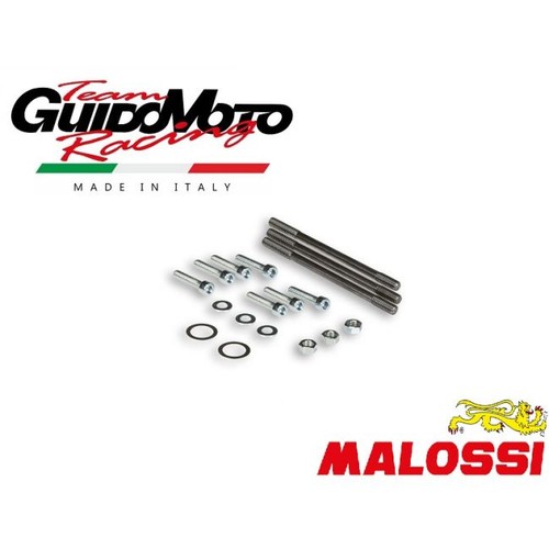 Bulloni malossi carter motore - bulloni,