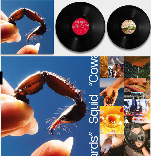 Squid cowards black - cowards,