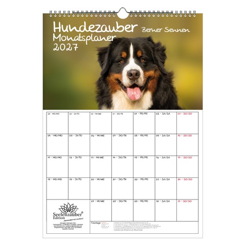 Magia per cani berner sennen - cani,