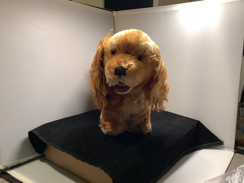 Vintage steiff golden cocker - vintage,