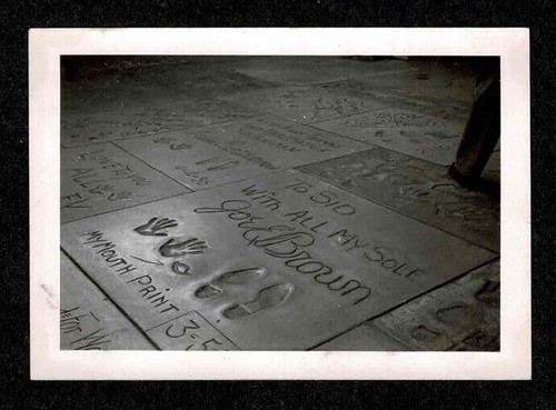 Joe stampa bocca marrone - bocca,