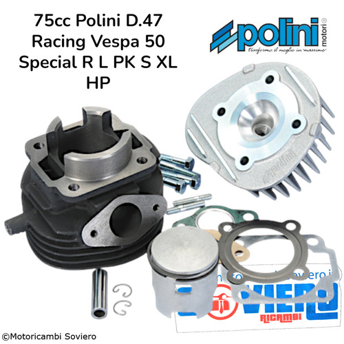 Gruppo termico 75cc polini - gruppo,