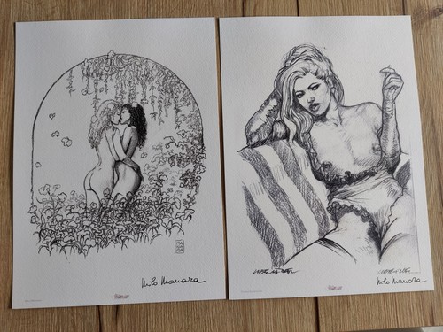 Stampe autografate milo manara - autografate,