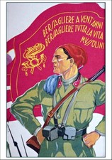 Cartolina post card rino - post,