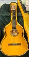 Chitarra acustica classica