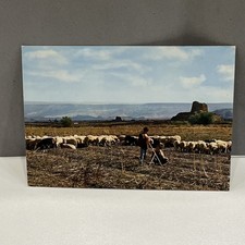 CARTOLINA COLORI VINTAGE COLLEZIONE SARDEGNA - TORRALBA NURAGHE S. ANTINE 