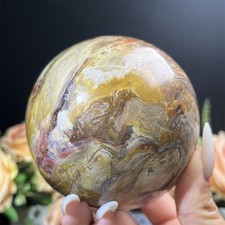 Sfera fossile legno naturale 1,9 libbre 3,3" sfera decorazione cristallo guarigione minerale Reiki