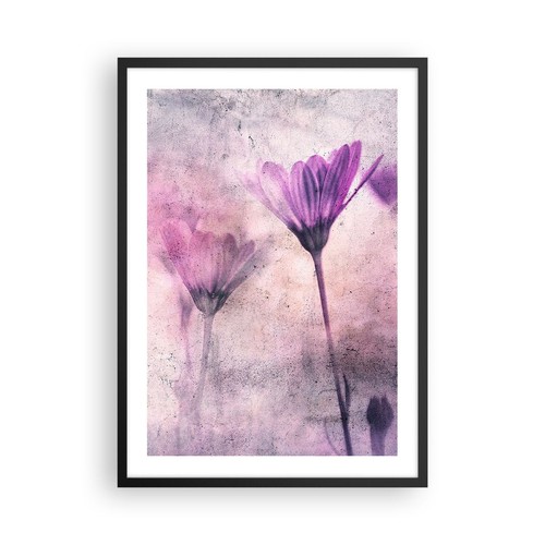 Poster 50x70cm fiori - poster,