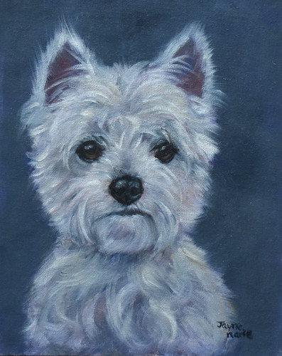 Carino dipinto olio - carino,