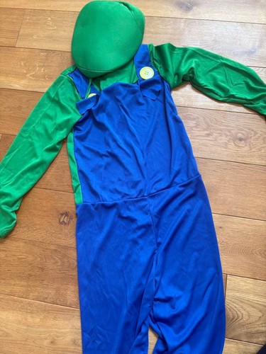 Set costume mario luigi - costume,