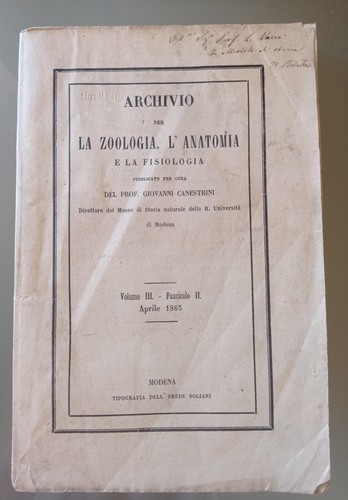 Giovanni canestrini autografo - canestrini,