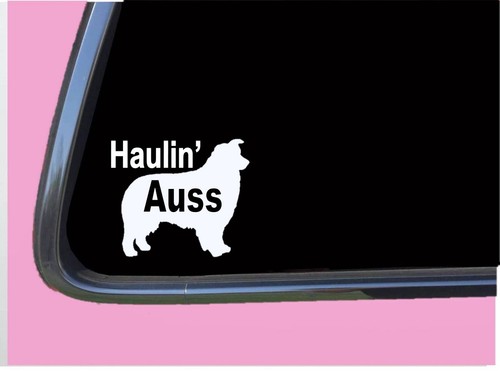 Adesivo haulin auss 621 - haulin, 6"