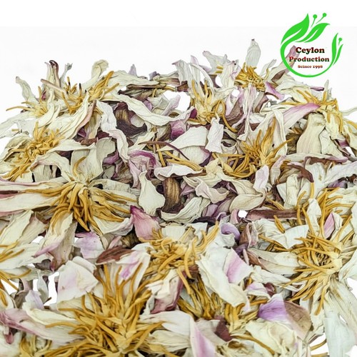 Fiore loto bianco essiccato - fiore, di