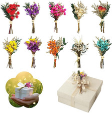 10 Pezzi Naturali Piccoli