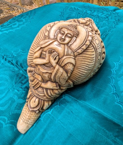 Riesce unico tibet - riesce,