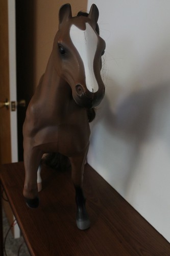 Grande cavallo quarto - , marrone
