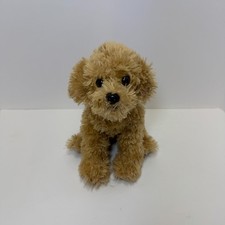 Doodles the Labradoodle