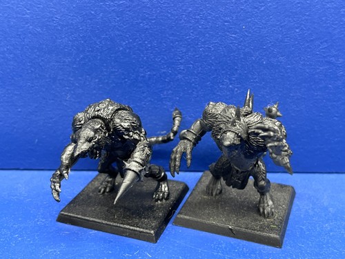Rattenoger rat orgres - 2,
