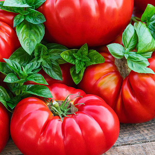 Buffalosteak hybrid pomodoro - buffalosteak,
