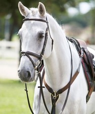 Pettorale inglese in cuoio a Y