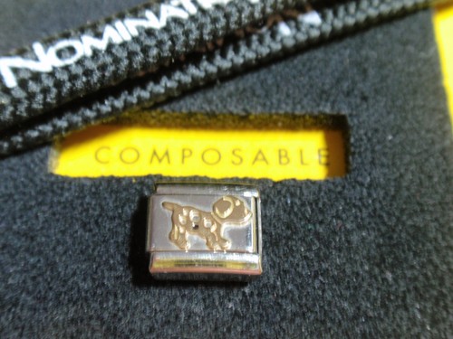 Charm originale nomination - charm,