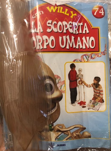 Alla scoperta del corpo umano