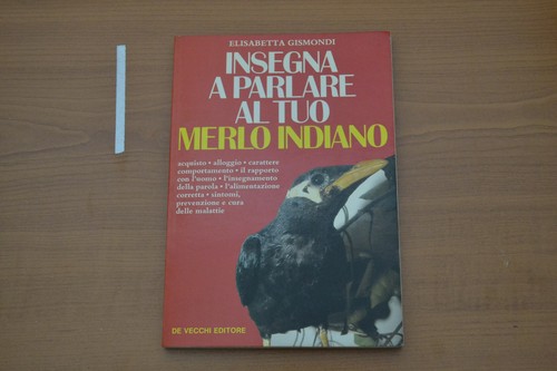 Gismondi insegna parlare al - insegna, a