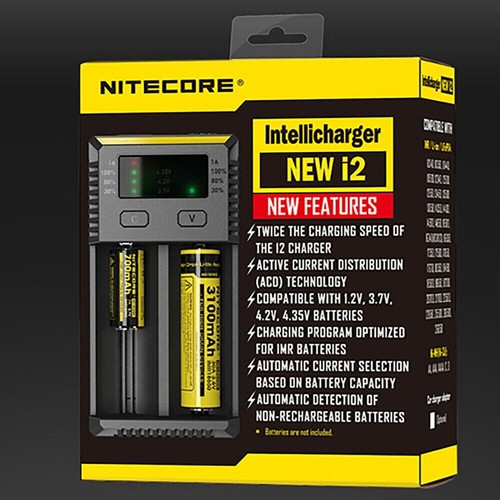 Carica batterie professionale