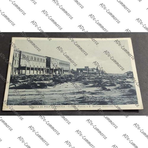 Cartolina marina pisa - marina,