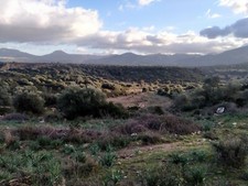 terreno agricolo 2,3 ettari