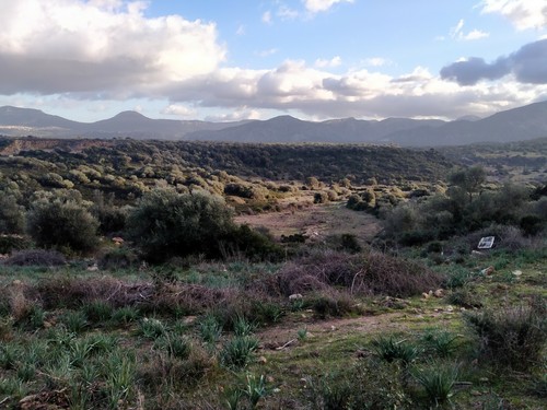 Terreno agricolo ettari - terreno, 2,3