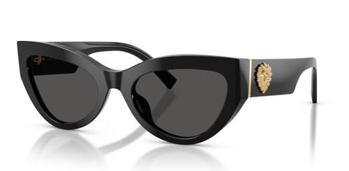 Dolce gabbana 4536 - dolce, 55