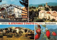 Postcard Santo Stefano D'Aveto