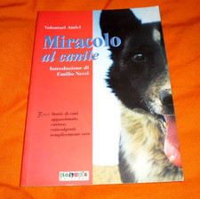 volontari amici miracolo al