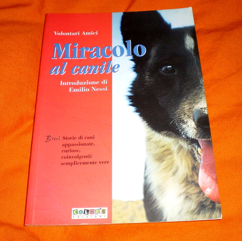 Volontari amici miracolo - miracolo, al