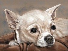 Quadro CHIHUAHUA opera d'arte