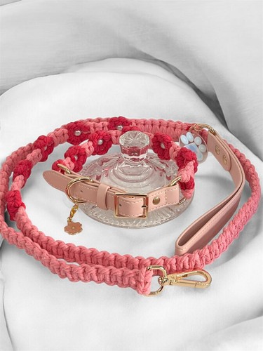 Collare con guinzaglio rosa - rosa, in