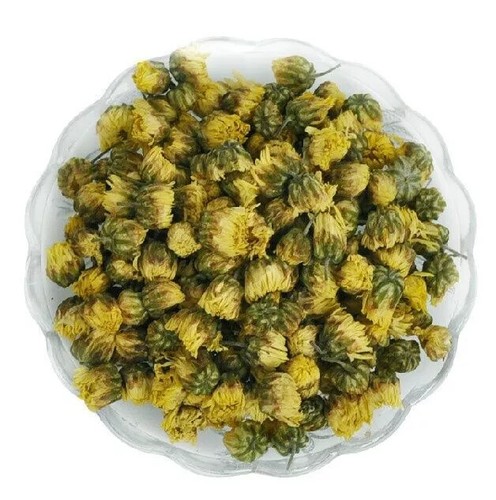Ingrosso crisantemo golden - ingrosso!!,