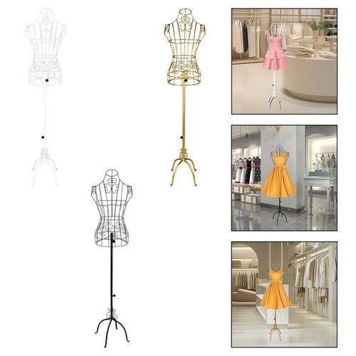 Ornamento torso mezzo - torso,
