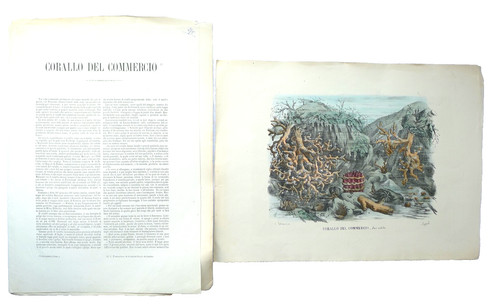 Antica stampa dipinta - antica,