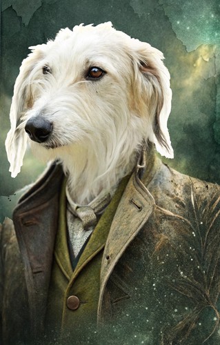 Distinto ritratto cane - di,