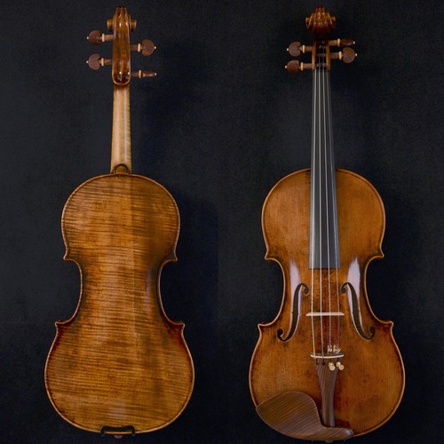Back violino maestro - back,
