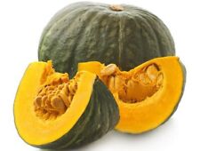 Zucca  Giapponese Ibrido  F 1 Delica 15 Semi Raccolto Fresco, Squash,Primavera