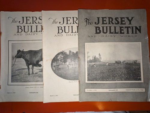 Lot the jersey - 3,