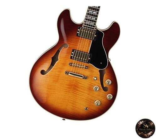 Chitarra elettrica
